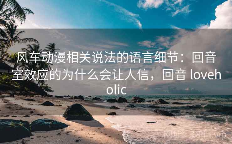 风车动漫相关说法的语言细节：回音室效应的为什么会让人信，回音 loveholic