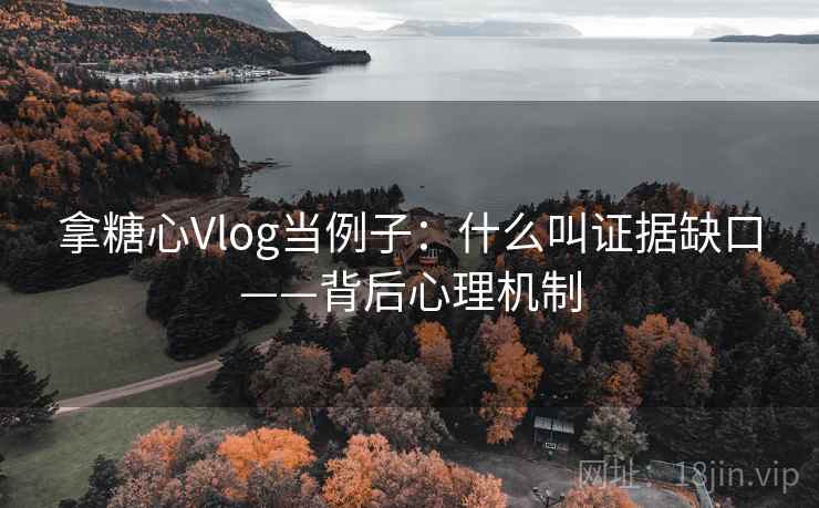 拿糖心Vlog当例子：什么叫证据缺口——背后心理机制