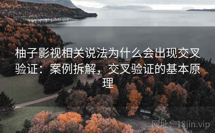 柚子影视相关说法为什么会出现交叉验证：案例拆解，交叉验证的基本原理