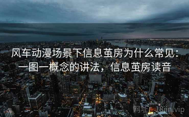 风车动漫场景下信息茧房为什么常见：一图一概念的讲法，信息茧房读音