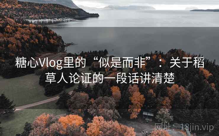 糖心Vlog里的“似是而非”：关于稻草人论证的一段话讲清楚